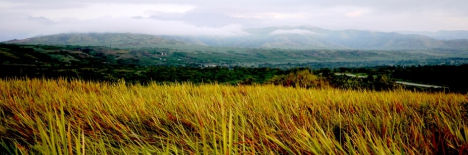 Rwenzori e.V. - Projekte zur ländlichen Entwicklung in Uganda